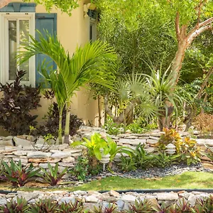Kokomo Botanical - Caribbean Family **** Turtle Cove