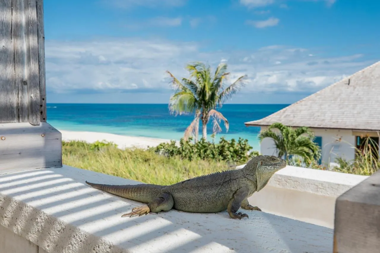 Ambergris Cay Private Island All Inclusive - Pls Island Hopper Flight Included Big Ambergris Cay Turks And Caicos Islands